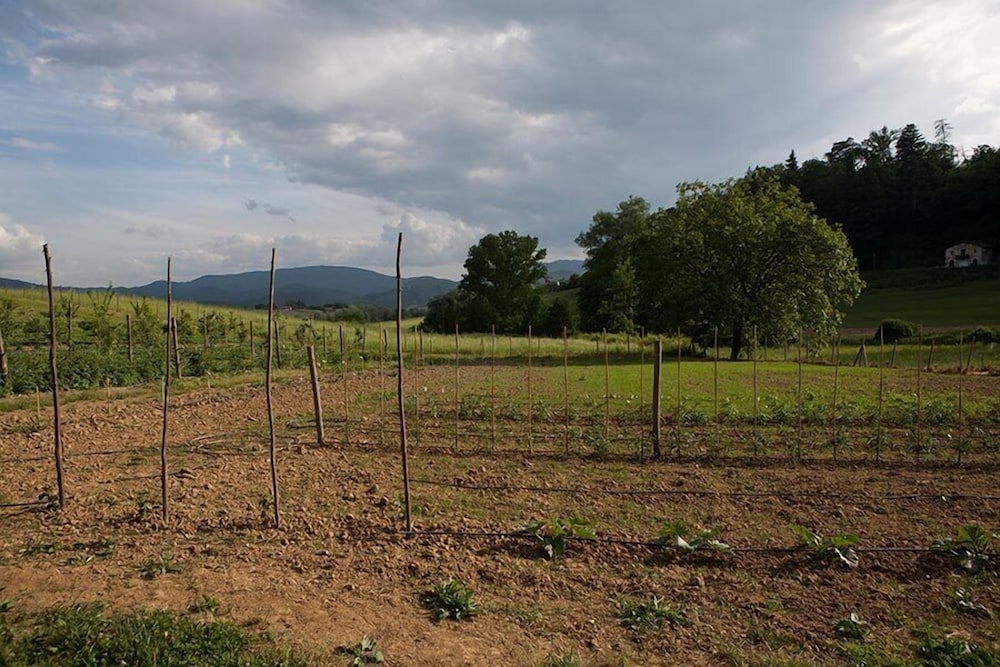 Agriturismo La Topaia 35/41