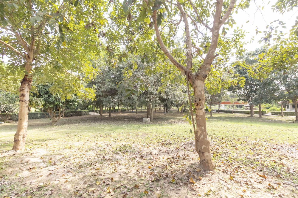 OYO 75359 Thaiburi Thara Resort 36/43