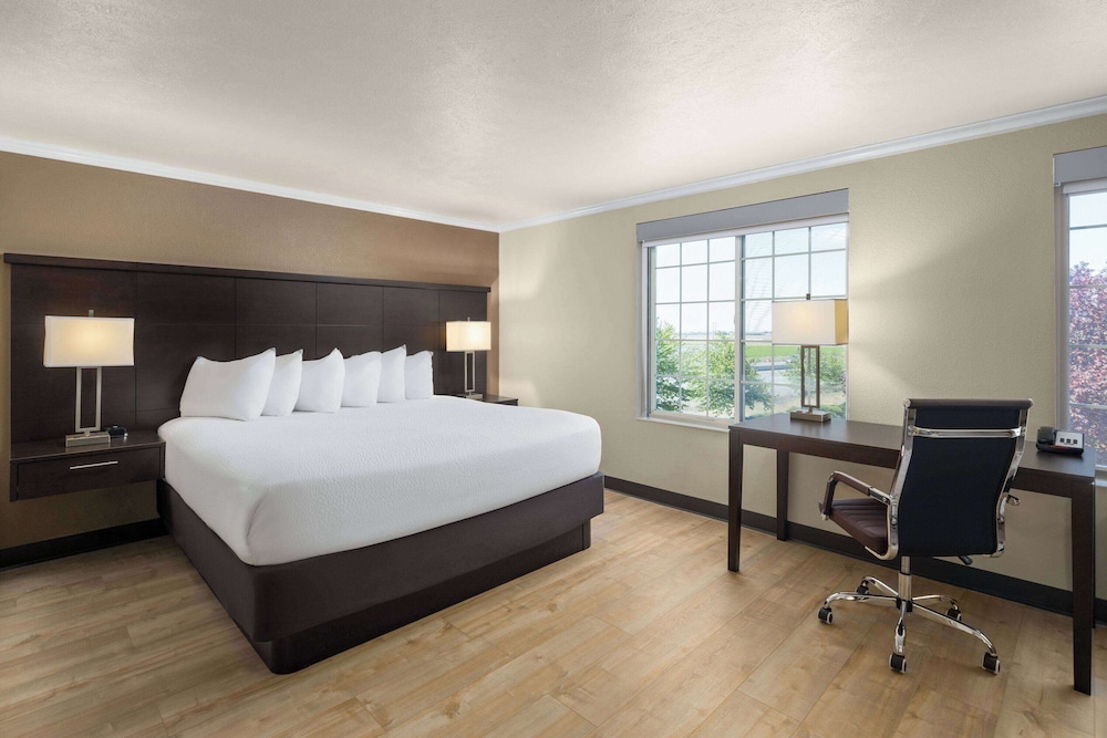 Efficiency, Studio, Suite, King Bed