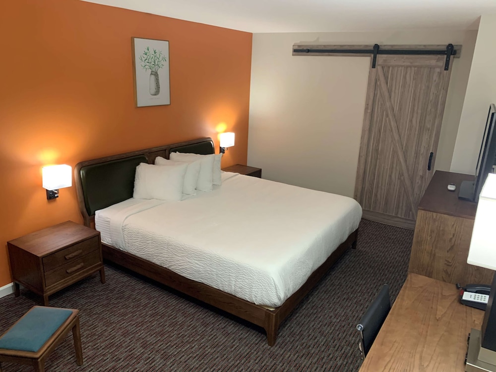 STANDARD, KING BED, PET FRIENDLY