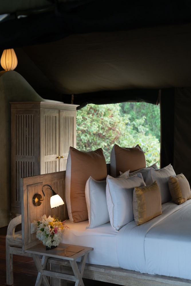 Flameback Eco Lodge 33/61