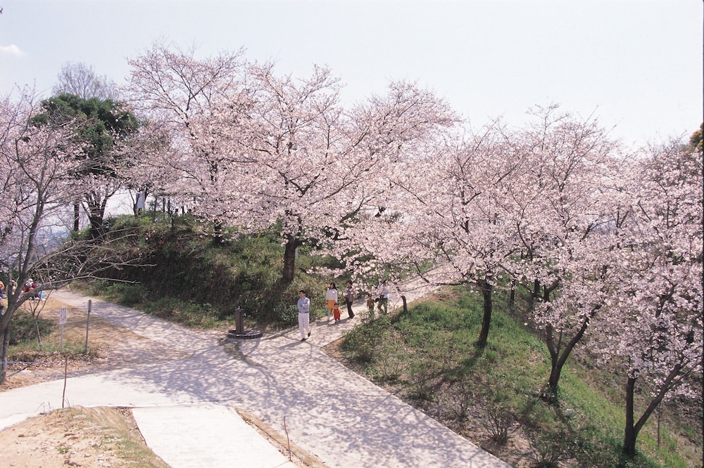 Tamana Onsen Hotel Shirasagi 64/67