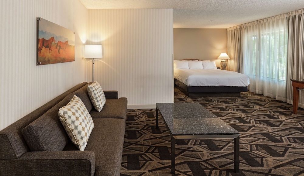 Doubletree By Hilton Durango 33/57