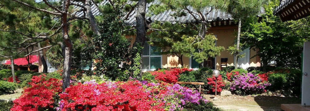 Gyeongju Kb Pension 39/40