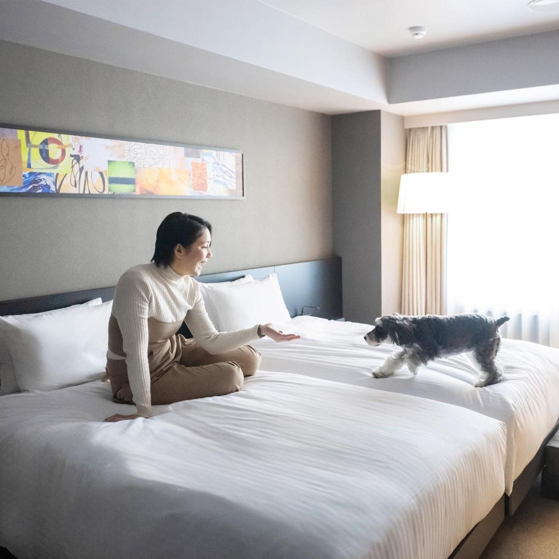 hotel anddoggy Kyoto Nijo 22/50