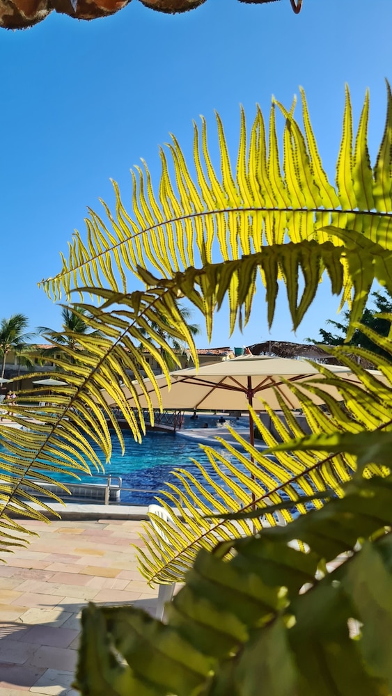 Arena Carneiros Hotel by AFT 40/50