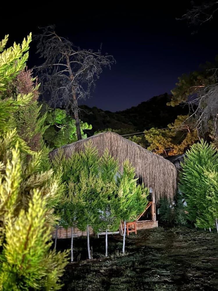 Green Pine Beach & Bungalows Luxury Concept 36/50