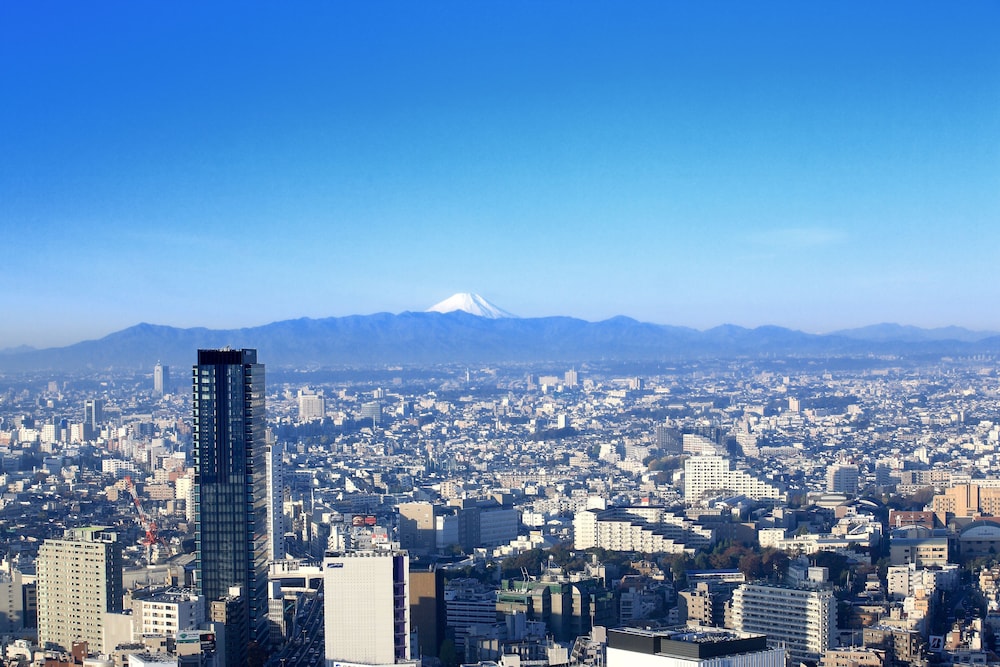 Cerulean Tower Tokyu Hotel, A Pan Pacific Partner Hotel 64/70