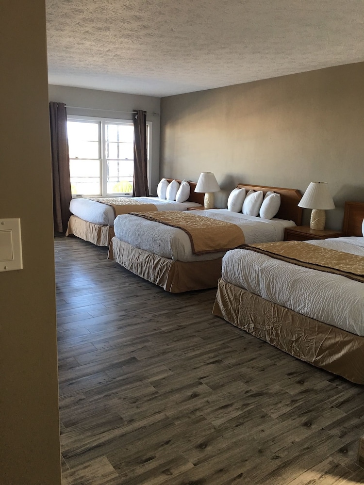 Marion Motor Lodge 13/65