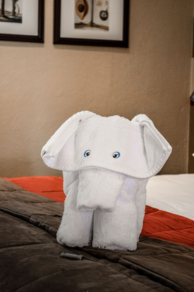 Indaba Hotel photo3