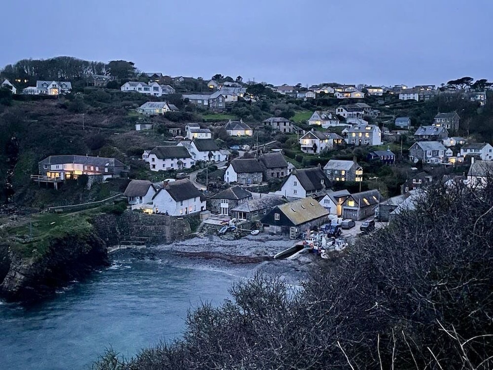 Cadgwith Cove Inn 37/50