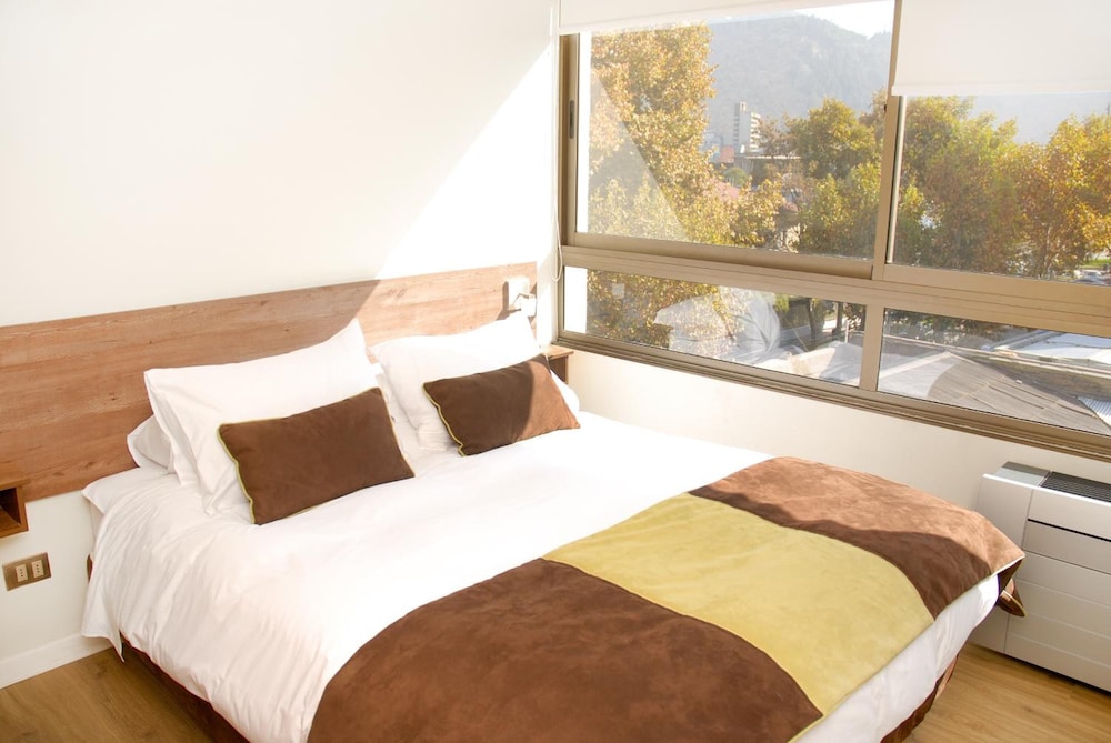 Providencia Apart Hotel 14/50