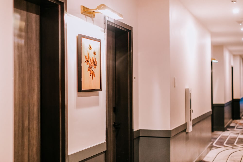 The Casso, Raleigh, a Tribute Portfolio Hotel 22/50