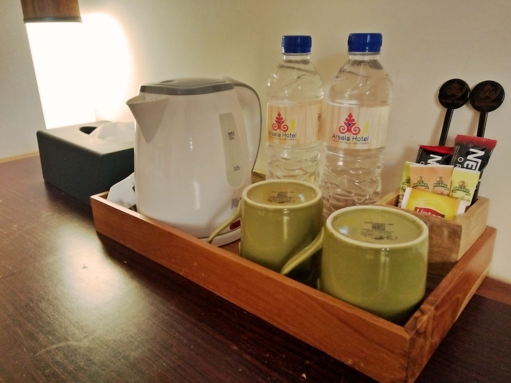 ARSELA HOTEL PANGKALAN BUN 13/42