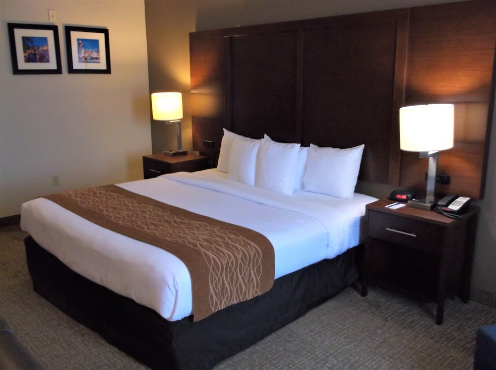 Comfort Inn and Suites Seguin, TX 12/37