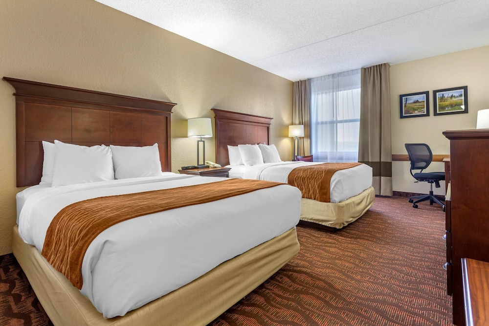 ROOM, MULTIPLE BEDS, ACCESSIBLE
