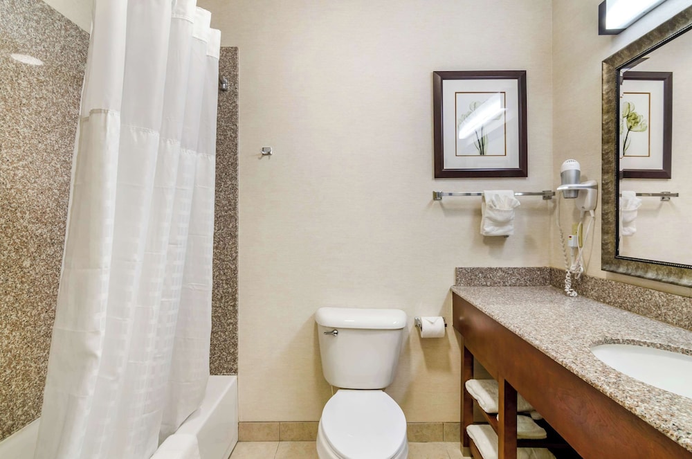 جناح بسرير كينج لذوي الإعاقة، Comfort Inn And Suites 3/3