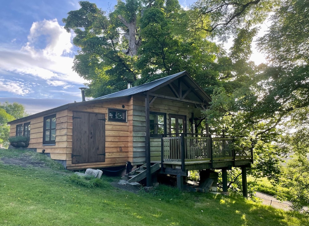 Owl Lodge 7/50