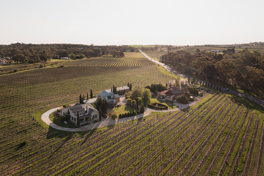 Barossa Shiraz Estate 41/50