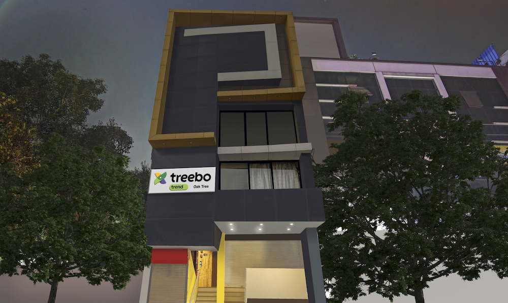 Treebo Trend Oak Tree in DELHI