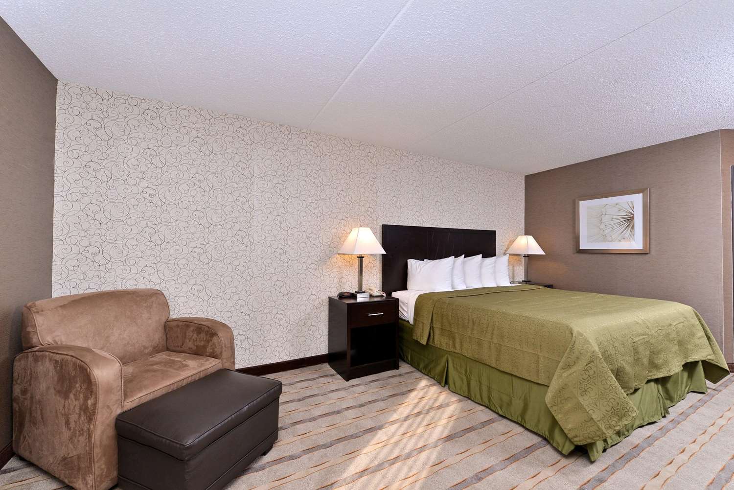 Quality Inn & Suites Matteson near I-57 9/30