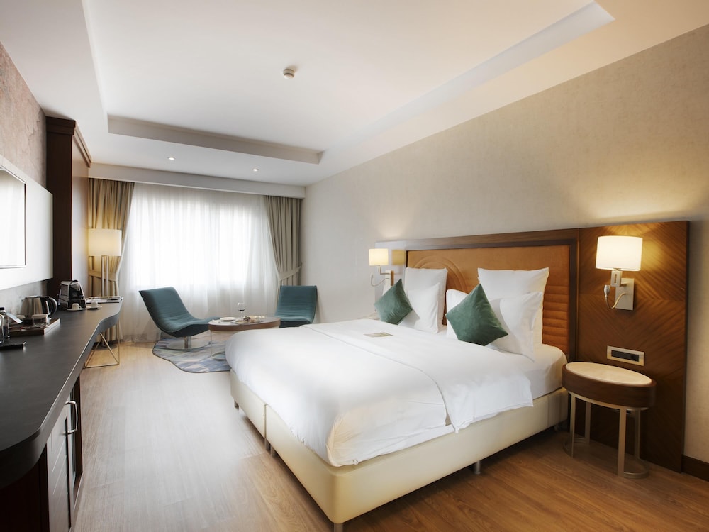 Mercure Istanbul Bakirkoy Hotel 16/73