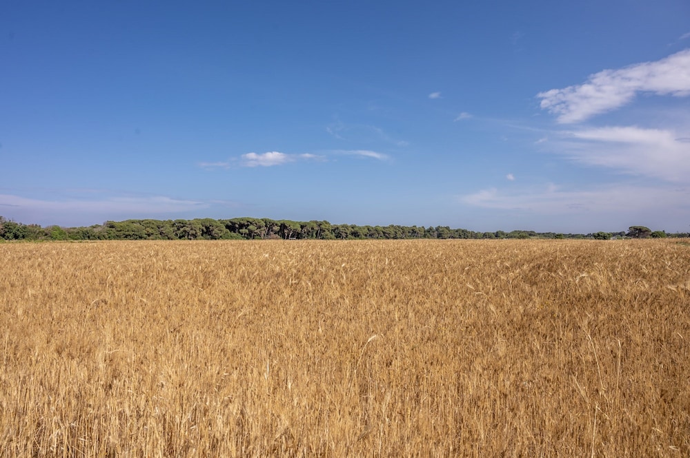 Masseria Mongio dell Elefante 57/72