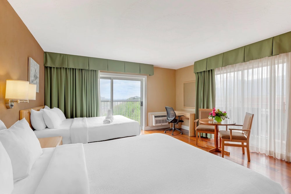 STANDARD, 2 QUEEN BEDS