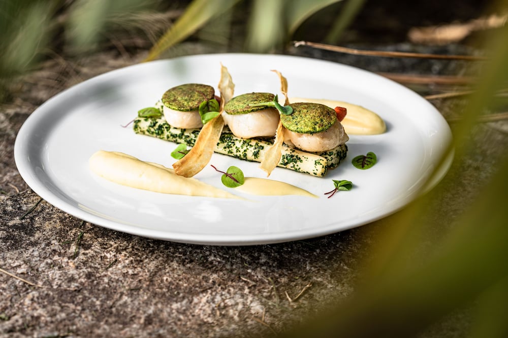 Sofitel Quiberon Thalassa Sea & Spa 13/50