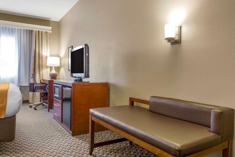 Comfort Inn Auburn Seattle 17/30