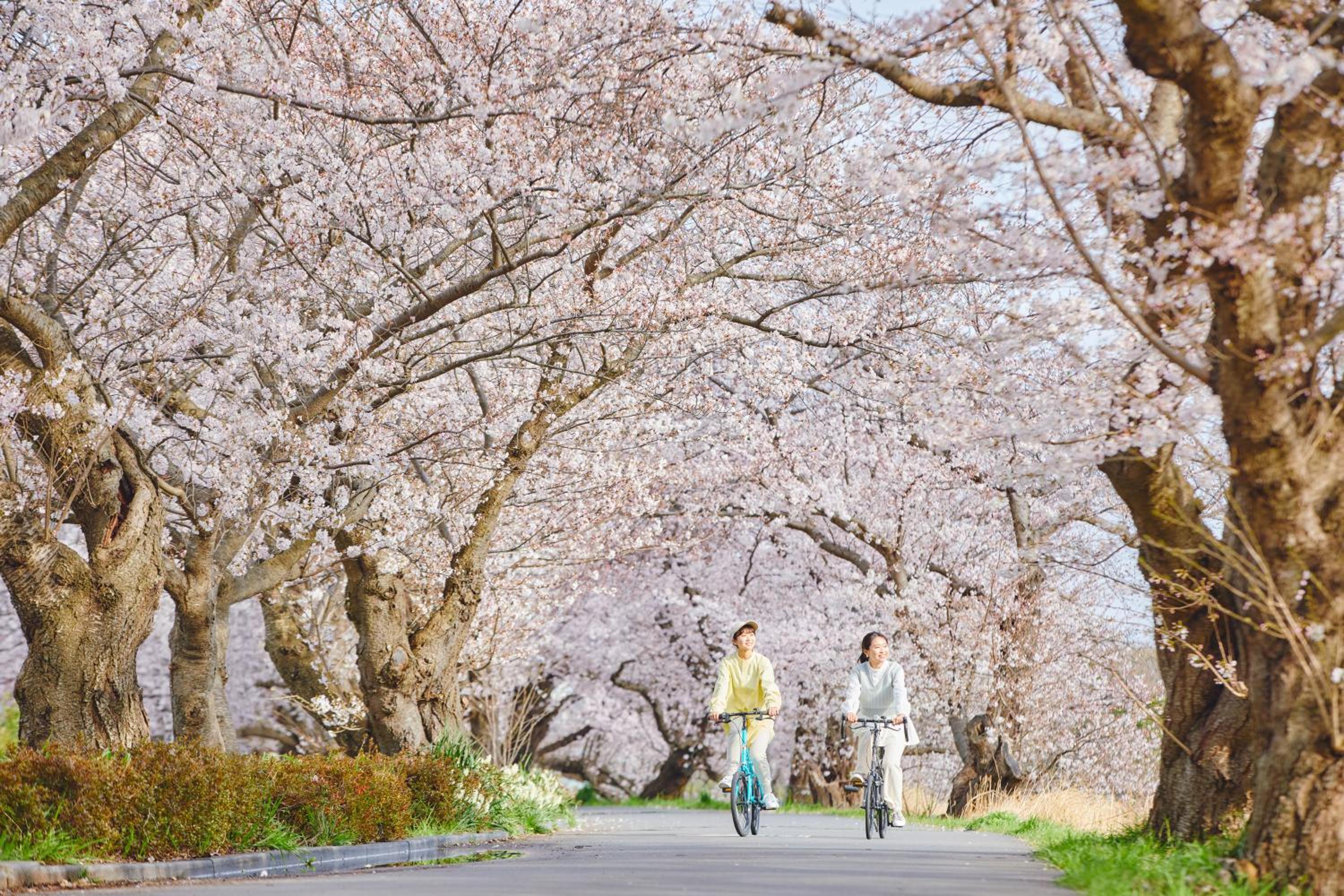 Hoshino Resorts BEB5 Tsuchiura 41/51