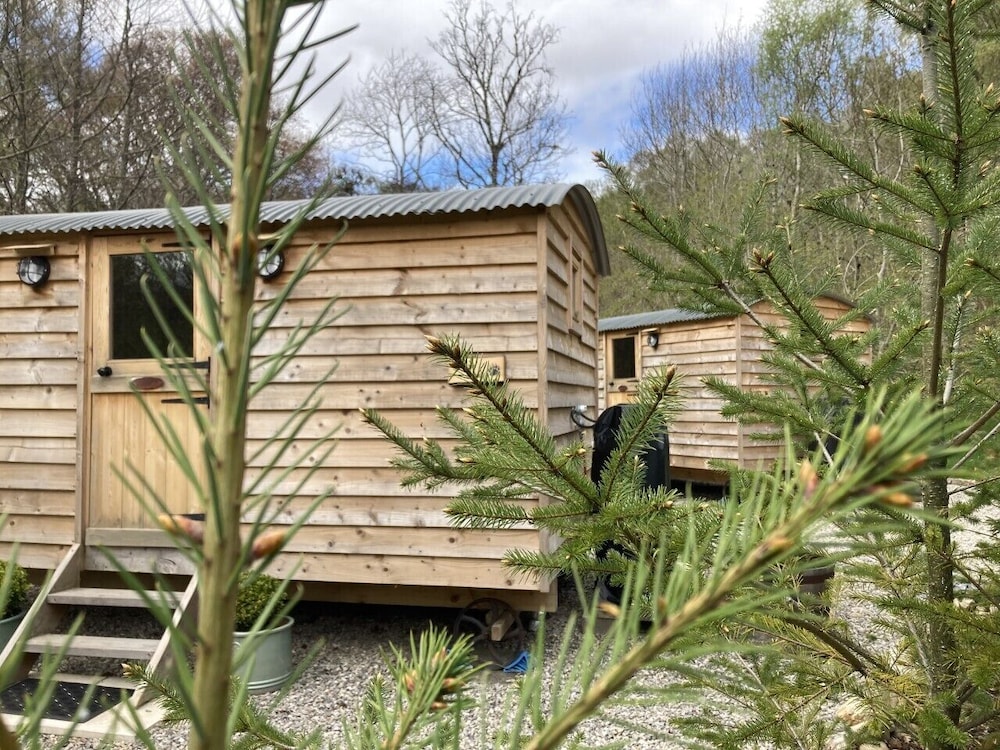 Highland Bear Lodge 1/49