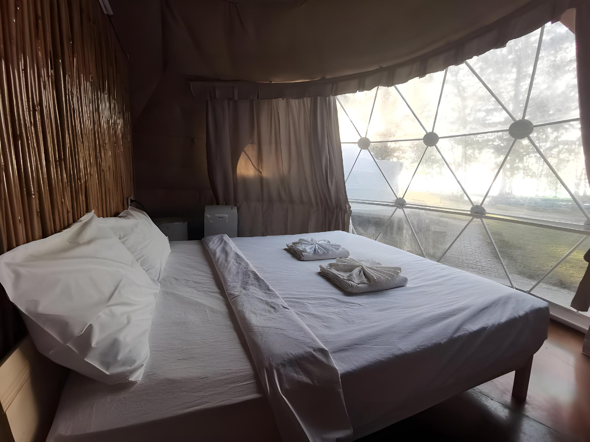 Dome, Economy