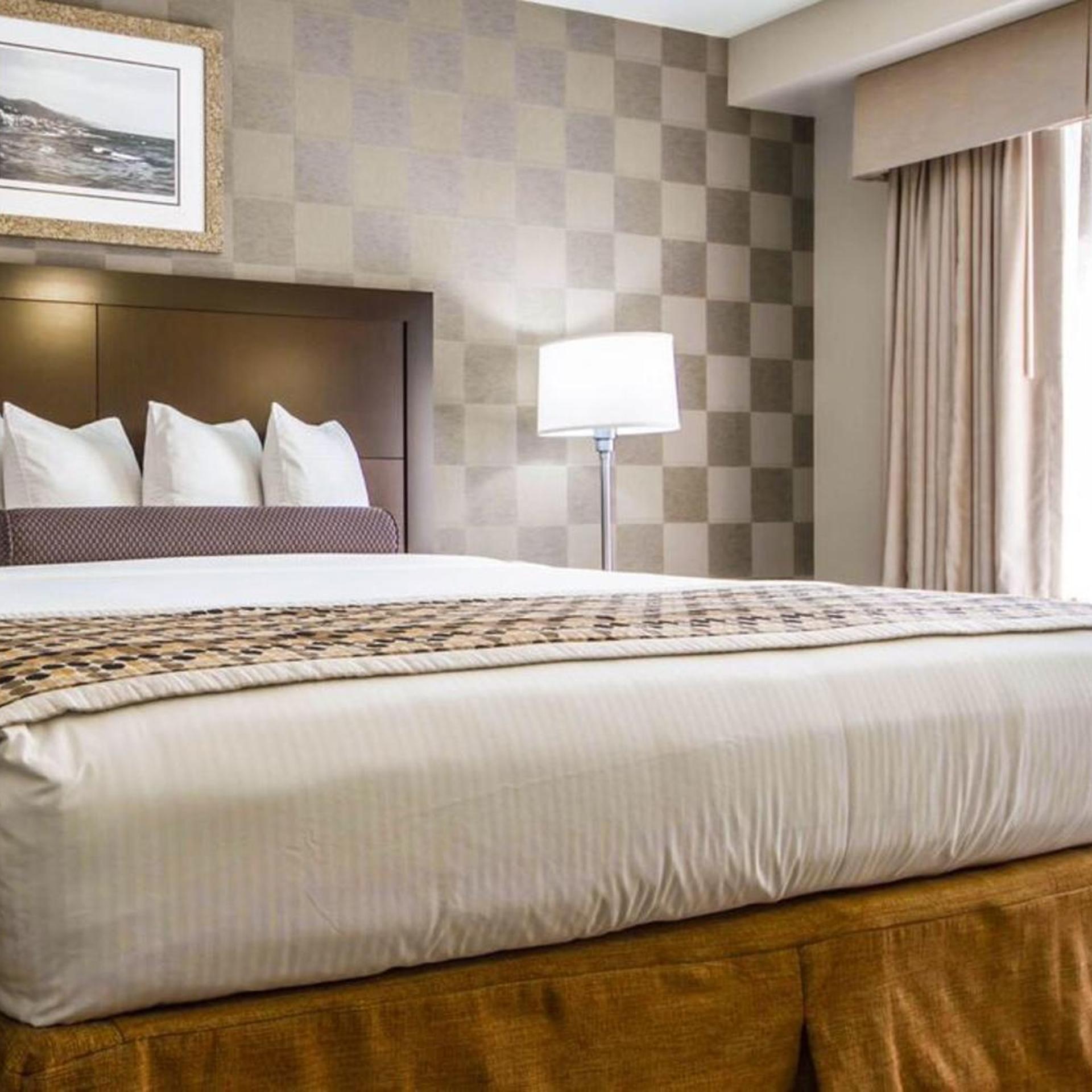 Mini, Suite, Accessible