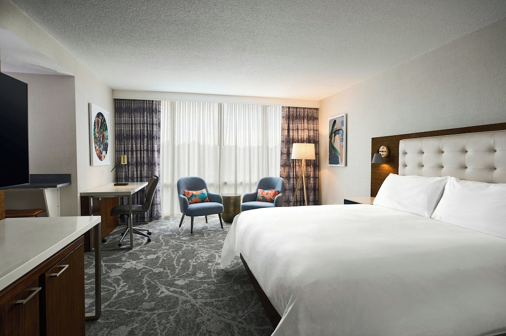Studio, Suite, King Bed