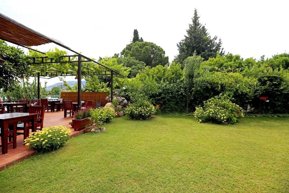 Midas Pension 26/50