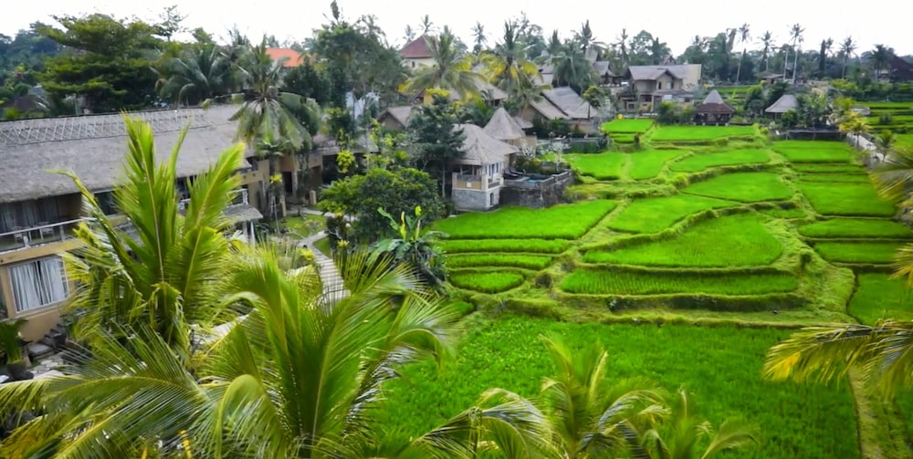 Wapa Di Ume Ubud 43/49