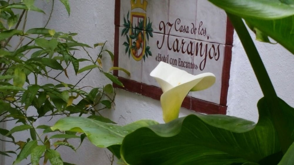 Casa de los Naranjos 29/34
