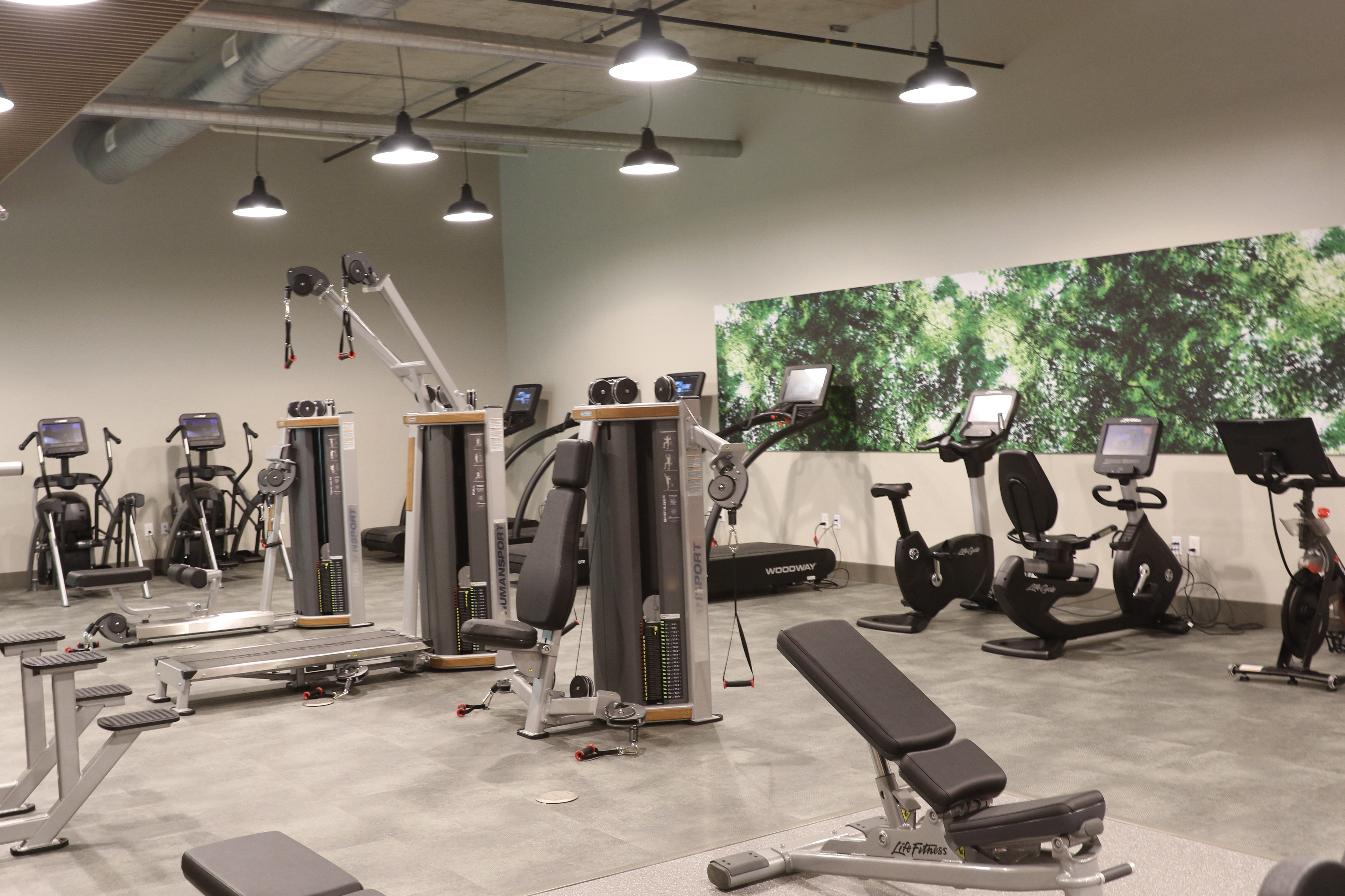Staybridge Suites Rochester - Mayo Clinic Area 50/82