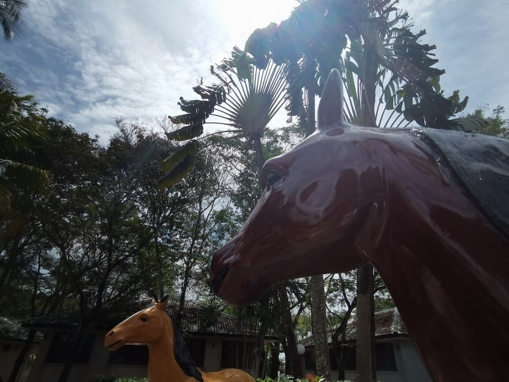 Cinta Sayang Resort 4/50