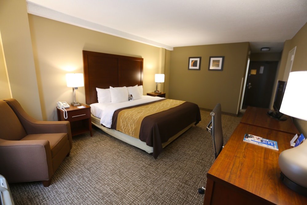 Comfort Inn MSP Airport - Mall Of America 17/43