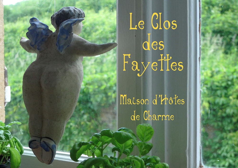 Le Clos des Fayettes 20/50