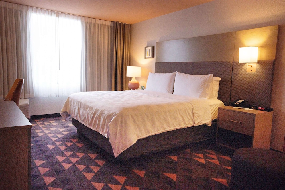Wyndham Houston Hobby Airport 16/44