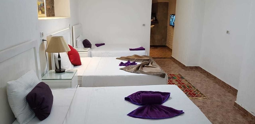 Nile Boutique Hotel 17/50