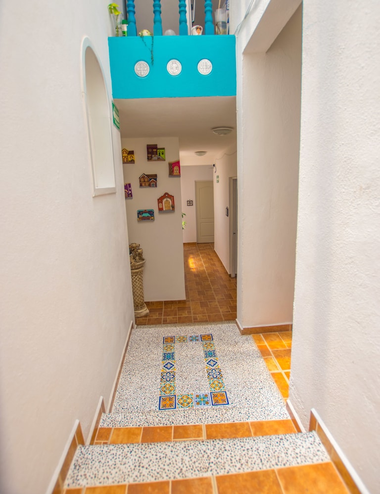 Maggic Home Panoramica 3/48