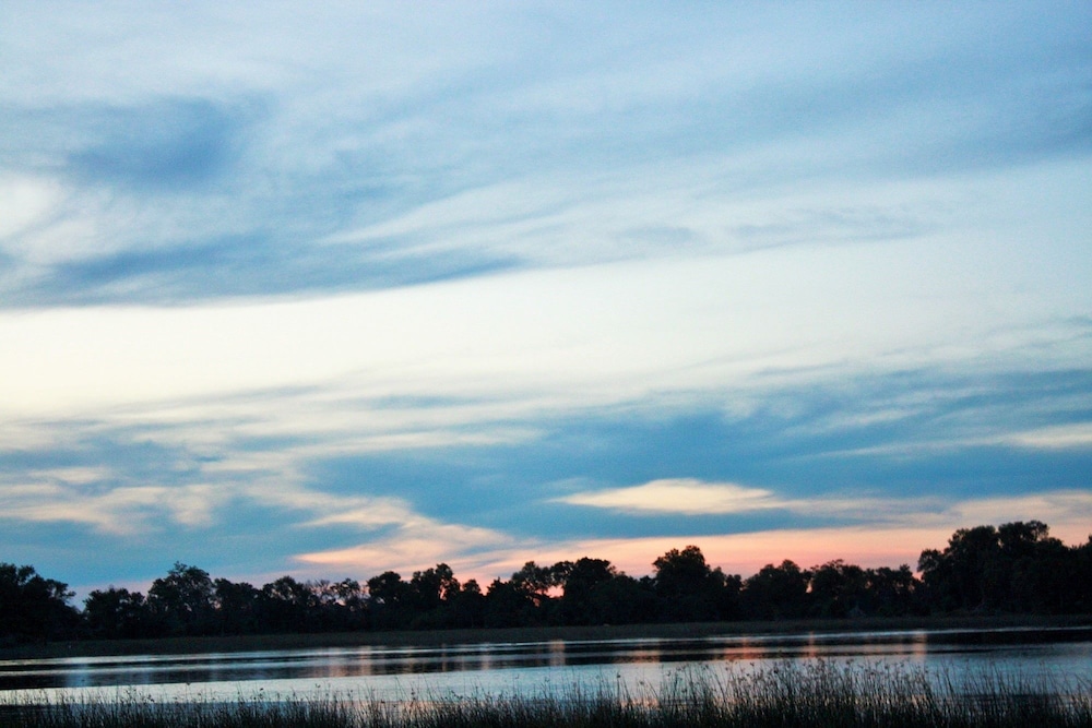 Hippo Island Okavango Delta 11/19