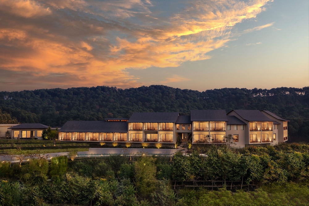 Storii By ITC Hotels Amoha Retreat Dharamshala 39/43