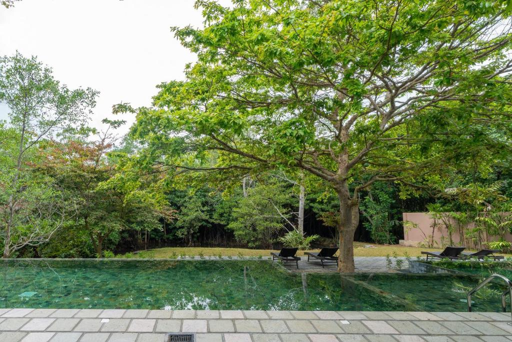 Cascara Resort Weligama 9/12