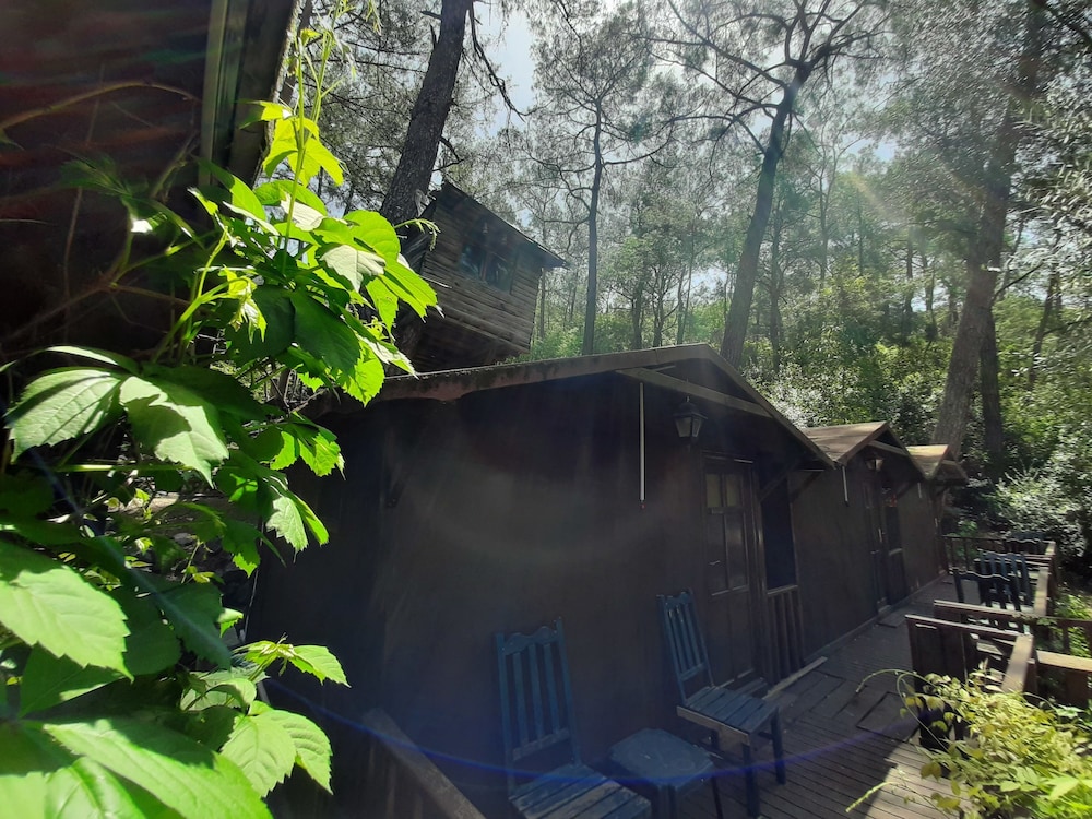 Altaris Bungalows Olympos 13/19