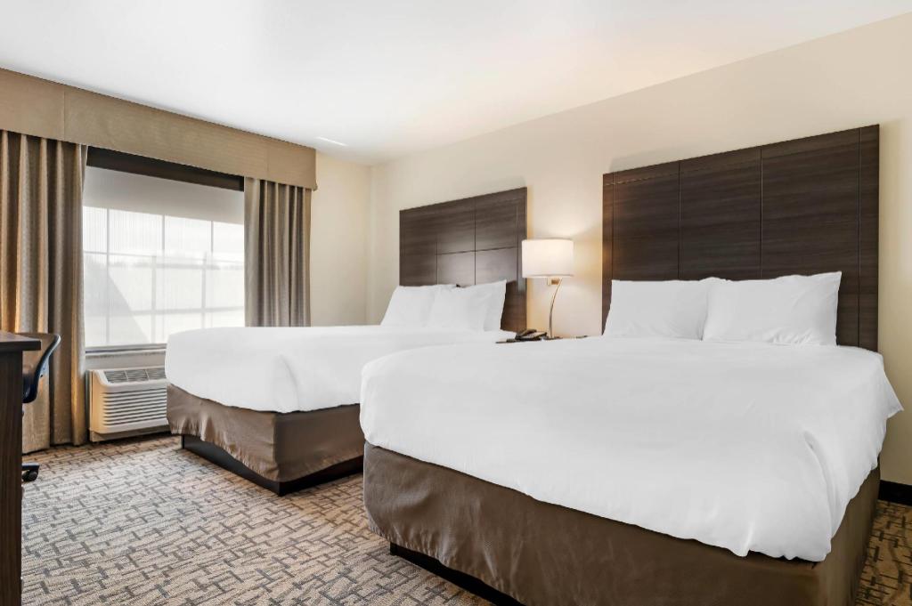 Upgrade, 2 Queen Beds